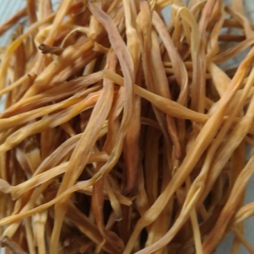 干黄菜