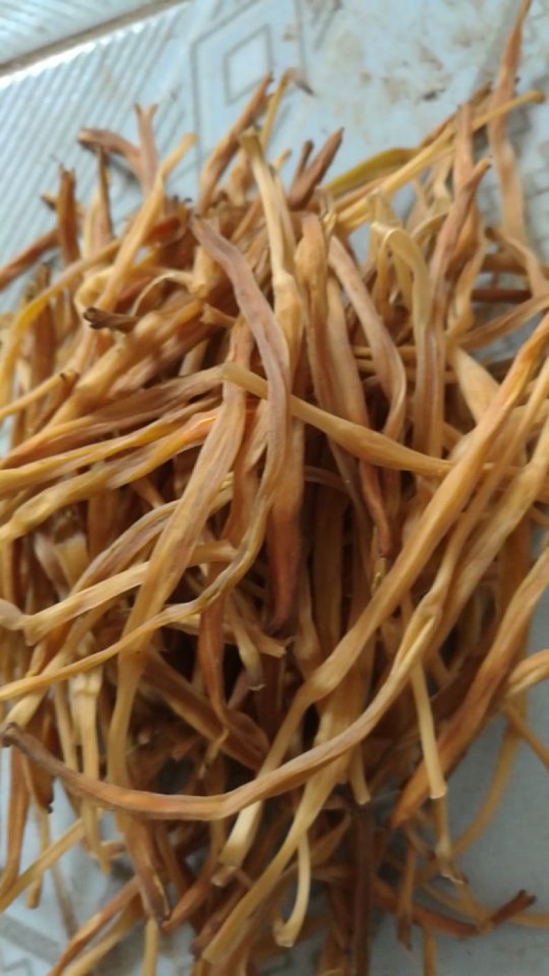 干黄菜