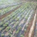 农用黑色地膜除草膜保湿加厚薄膜果树果园蔬菜大棚草莓专用