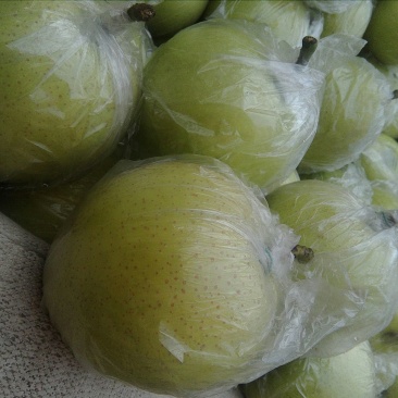 皇冠梨纸加膜500~550g