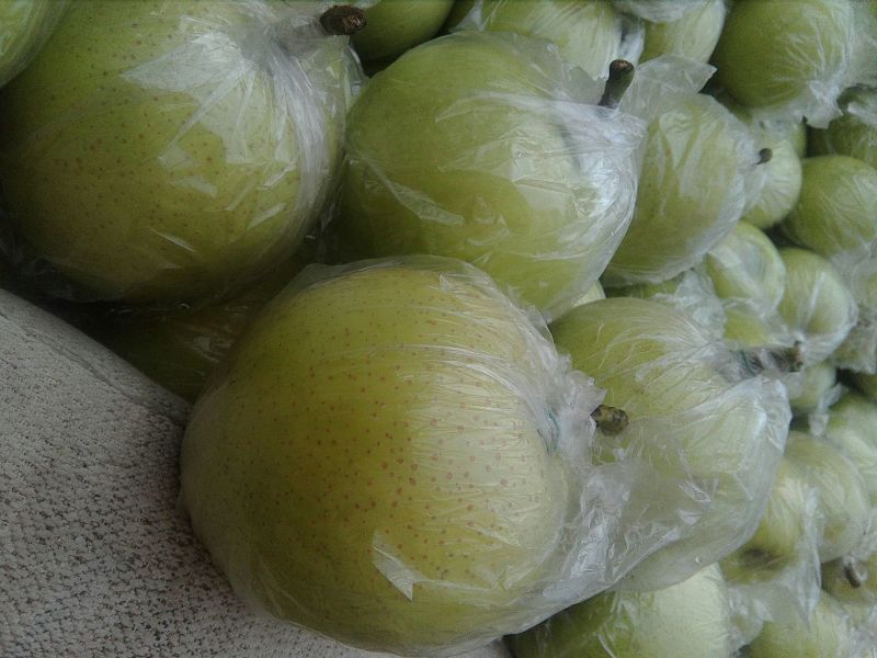 皇冠梨纸加膜500~550g