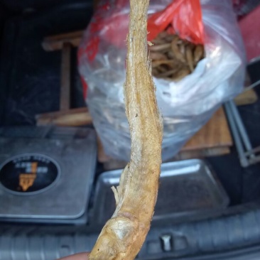 火焙鱼稻谷香味