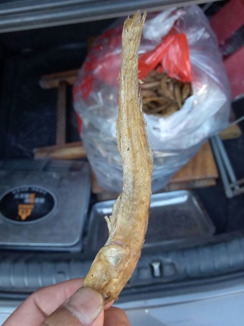 火焙鱼稻谷香味