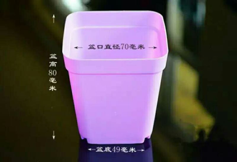 花盆
