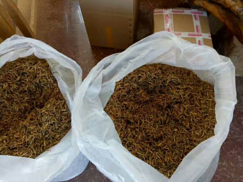 普洱绿茶一级