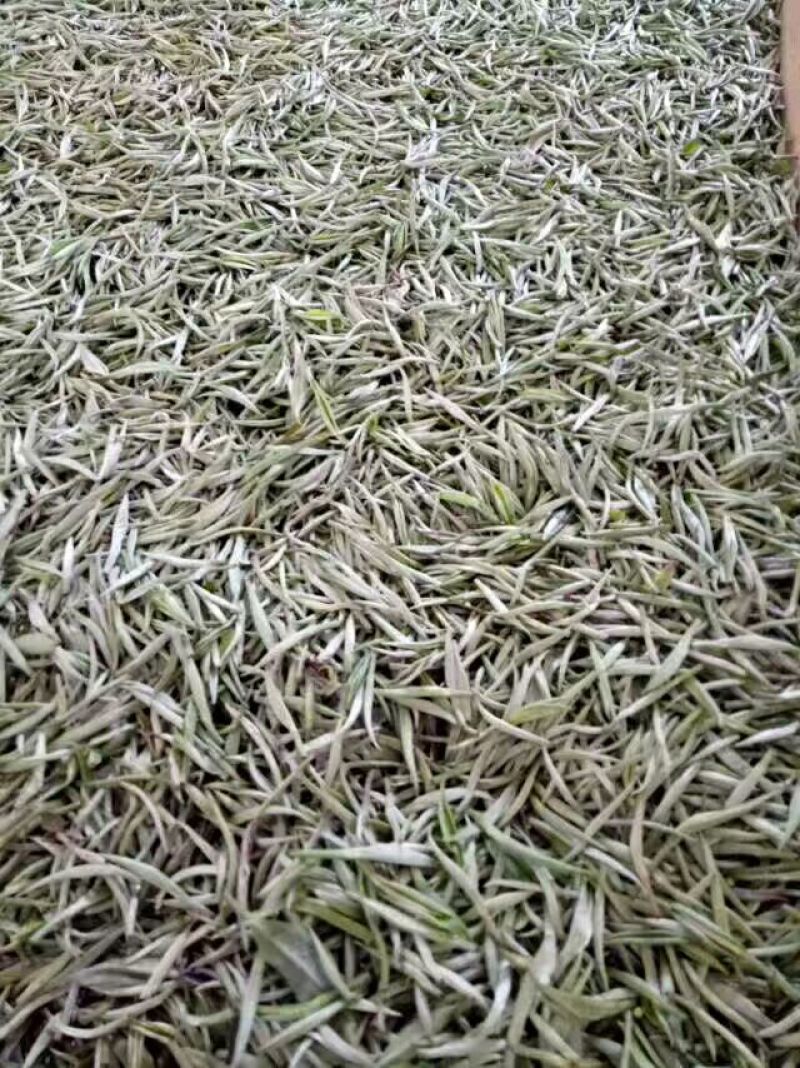 普洱绿茶一级