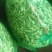 翠绿宝大荚毛豆12~18克