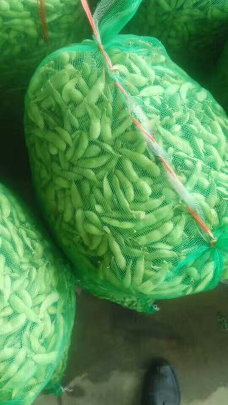 翠绿宝大荚毛豆12~18克