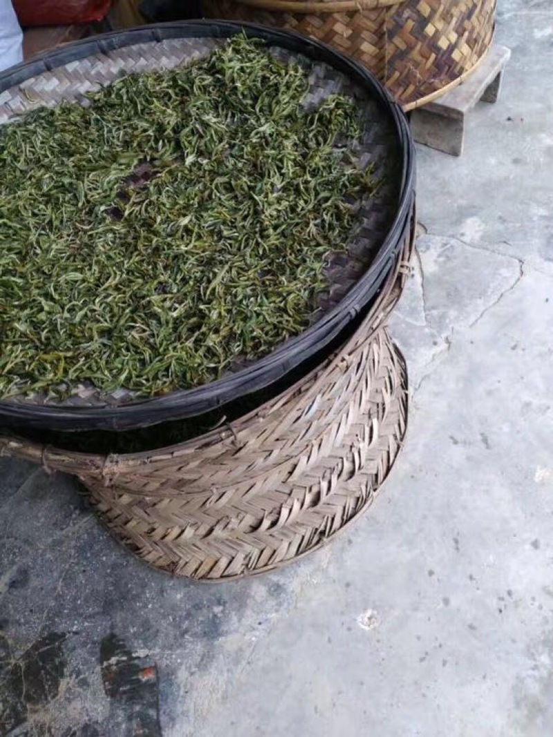 古树茶一级
