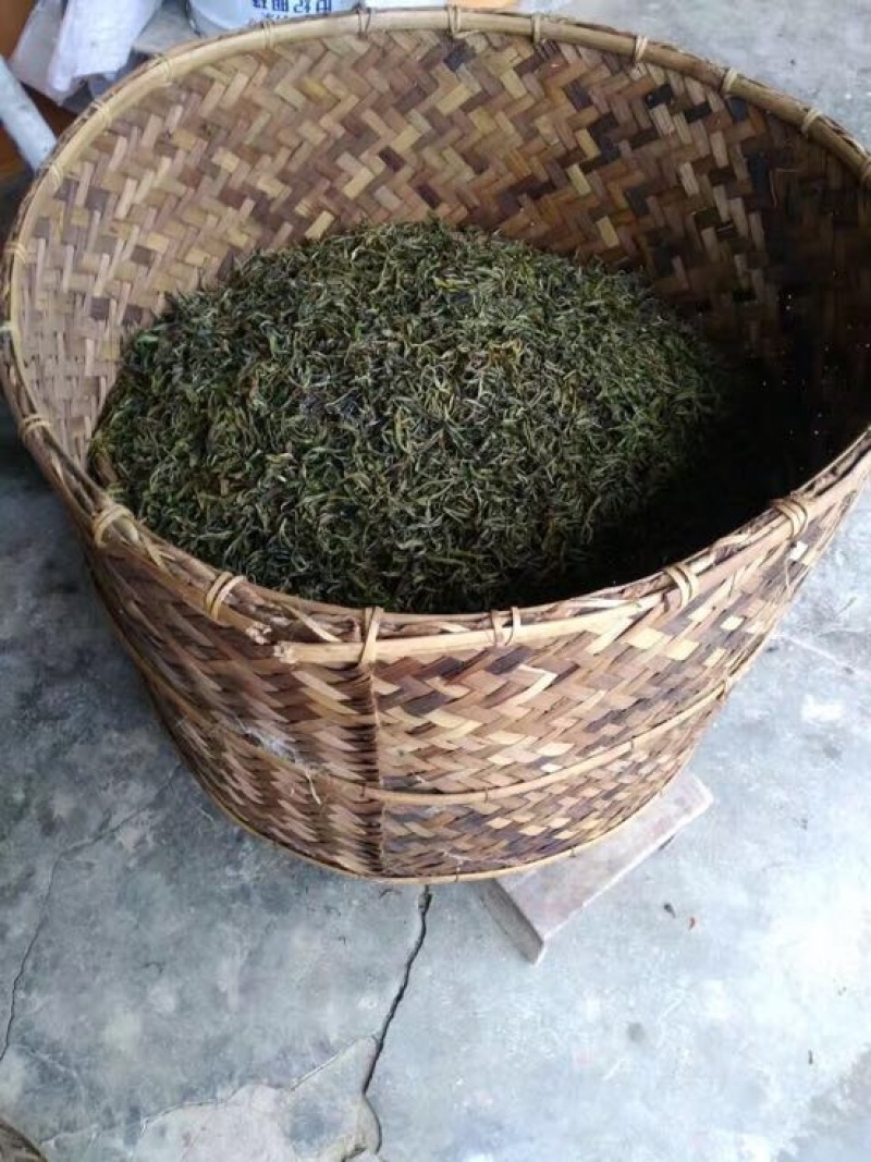 古树茶一级