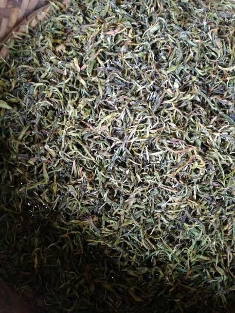 古树茶一级