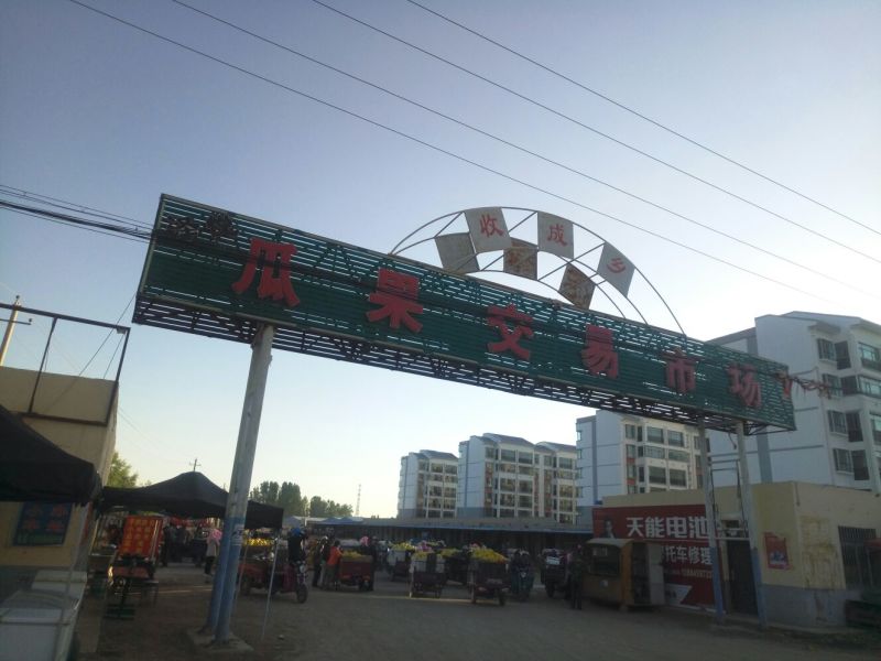 西州蜜瓜3斤以上椭圆形