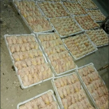 冰冻乳鸽