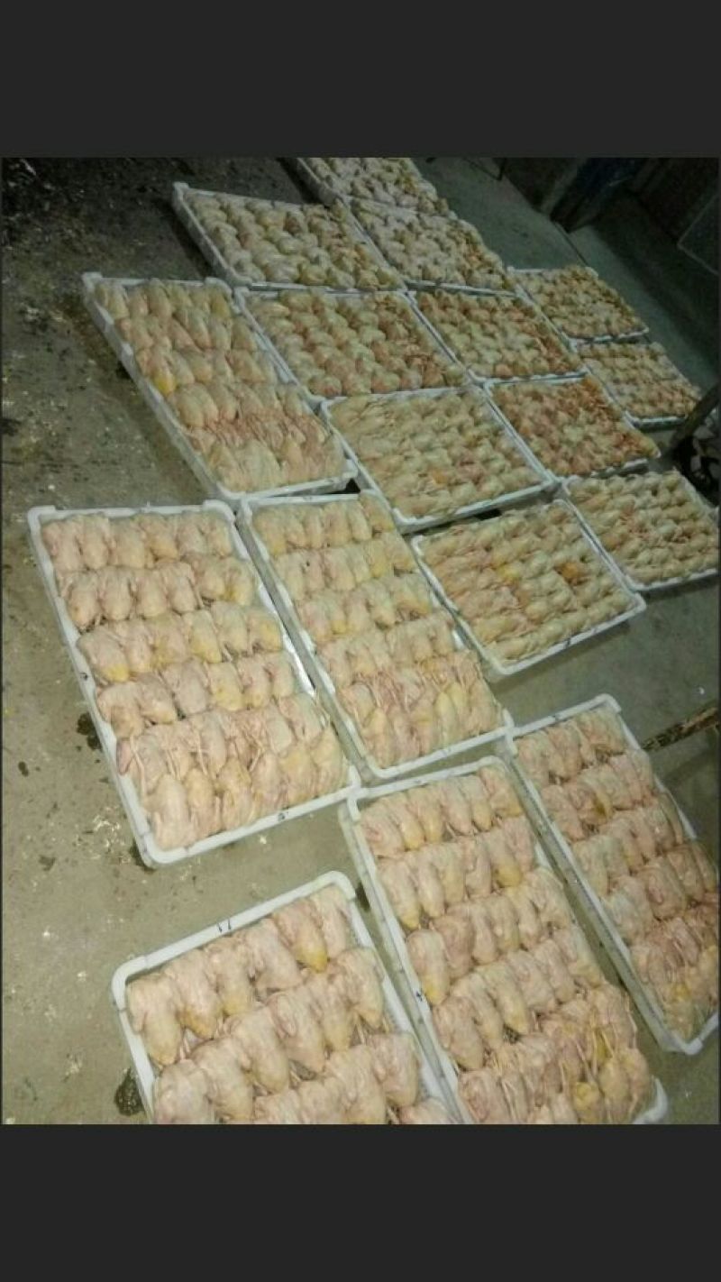 冰冻乳鸽