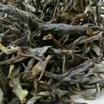 普洱茶一级