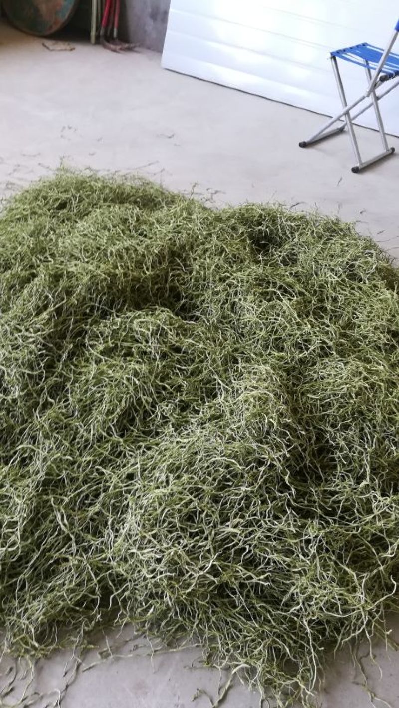 🔥🔥🔥张家口干豆角丝15厘米蔚县特产欢迎咨询