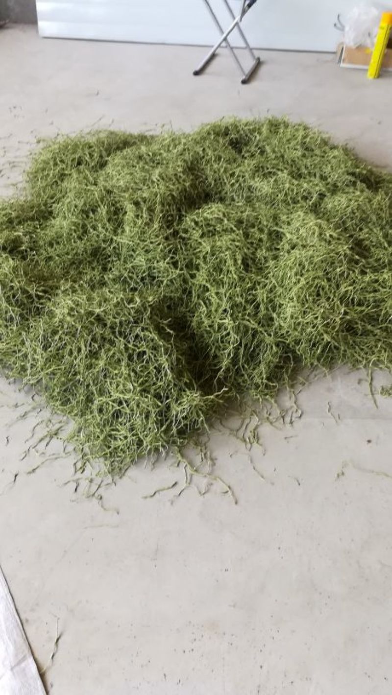 🔥🔥🔥张家口干豆角丝15厘米蔚县特产欢迎咨询