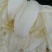 菊花鲜切花50~80cm