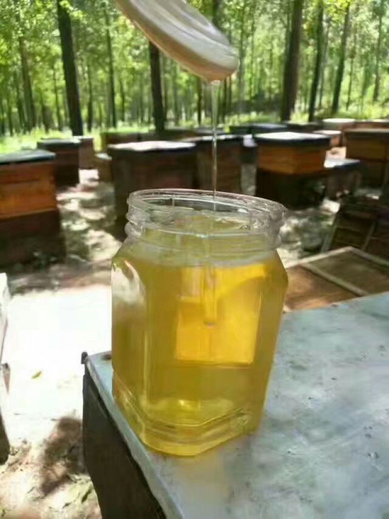 中蜂平箱装