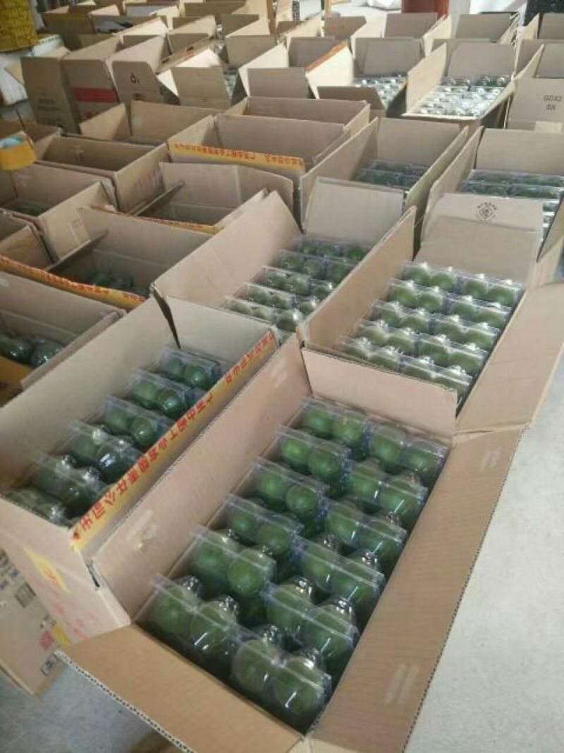 产地大量批发罗汉果（鲜果/干果）