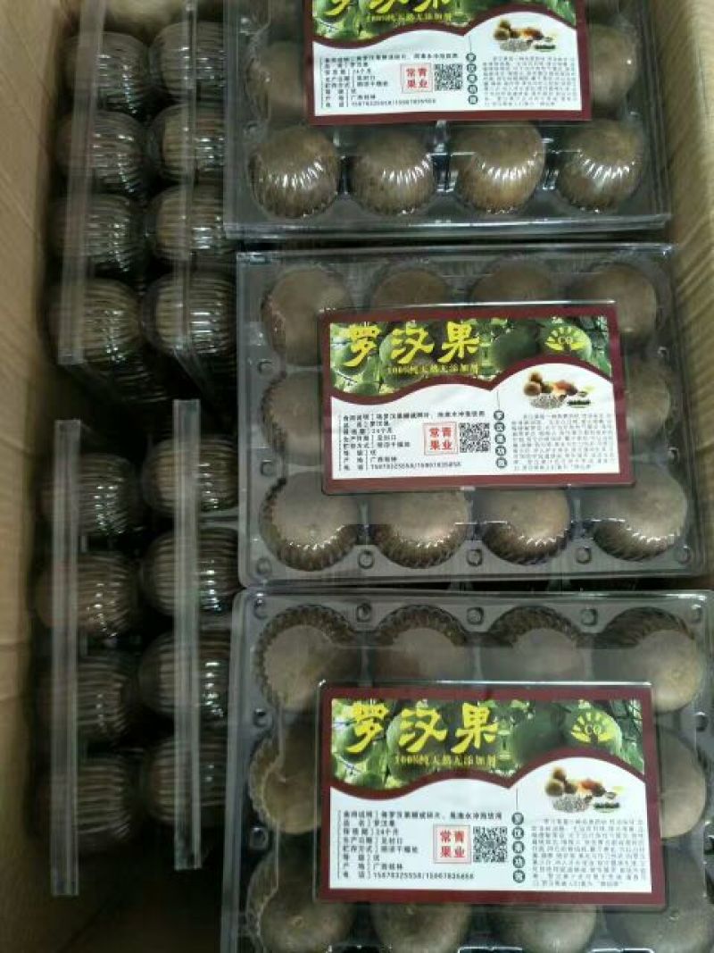 产地大量批发罗汉果（鲜果/干果）