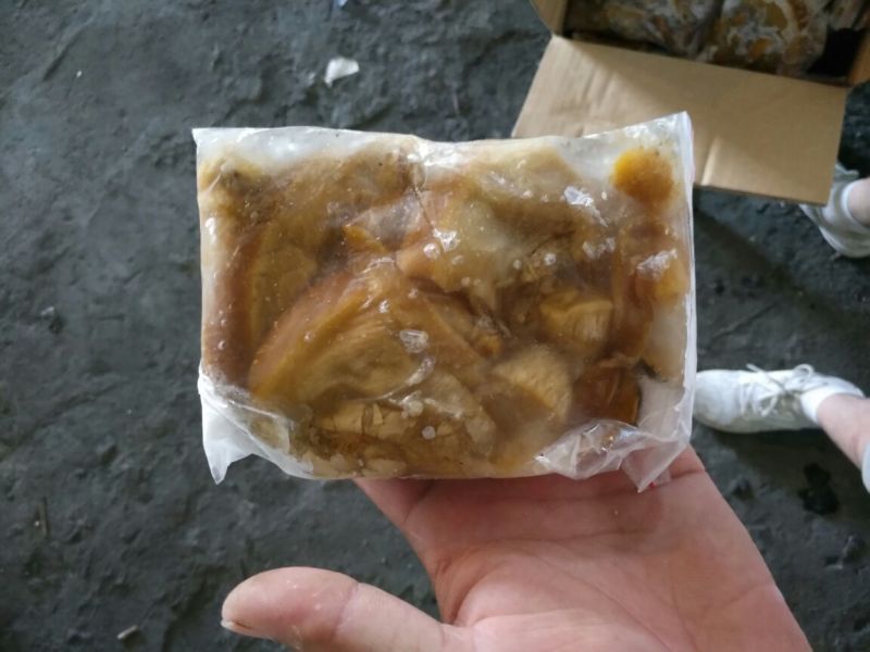 河蚌