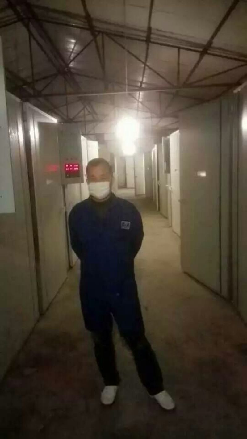 青脚土鸡苗出壳苗60~70克通货