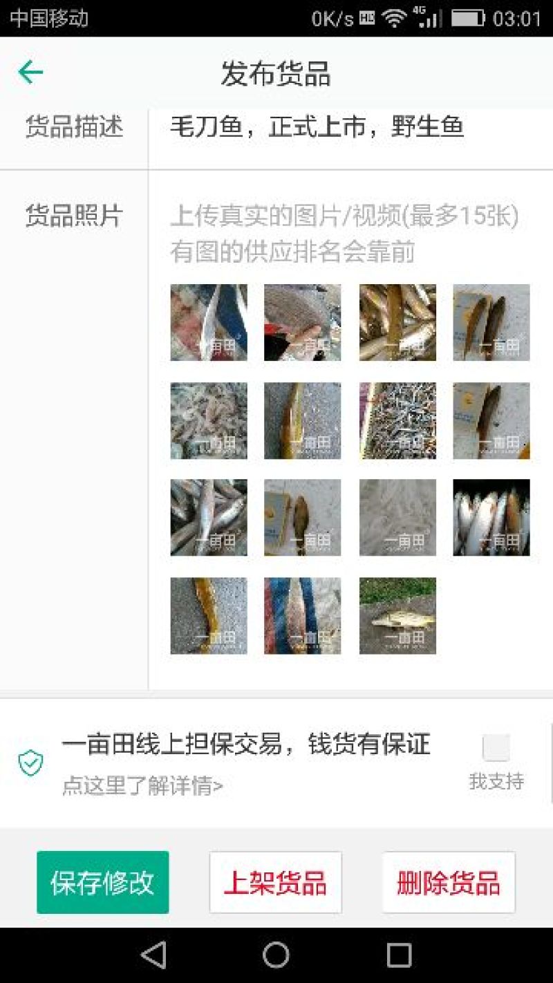 毛刀鱼食用冰鲜鱼