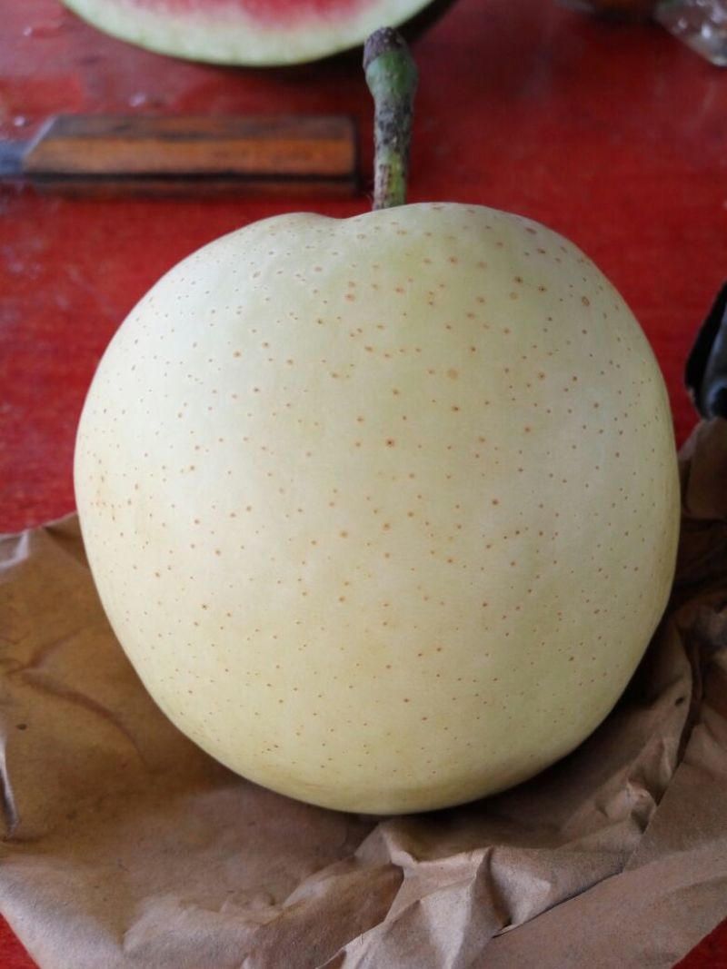 皇冠梨250~300g纸袋