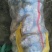 荷兰十五，希森6号，v7,沃土，3两以通天，无虫眼，
