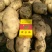 荷兰十五，希森6号，v7,沃土，3两以通天，无虫眼，