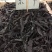 紫草1kg也批发