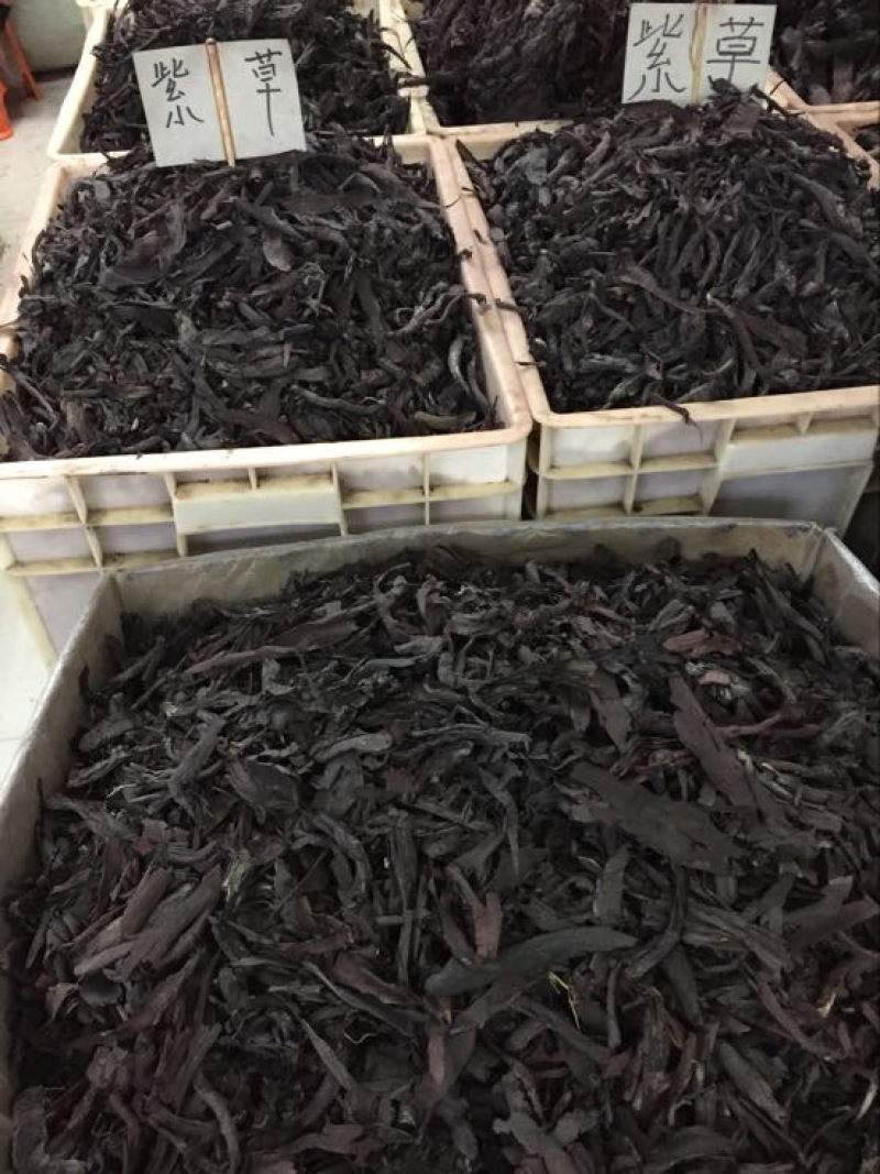 紫草1kg也批发