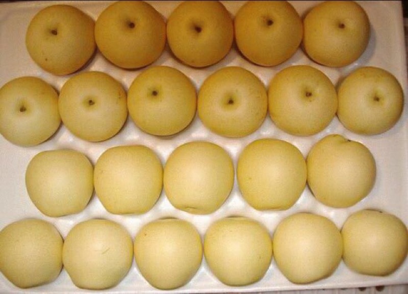 黄金梨