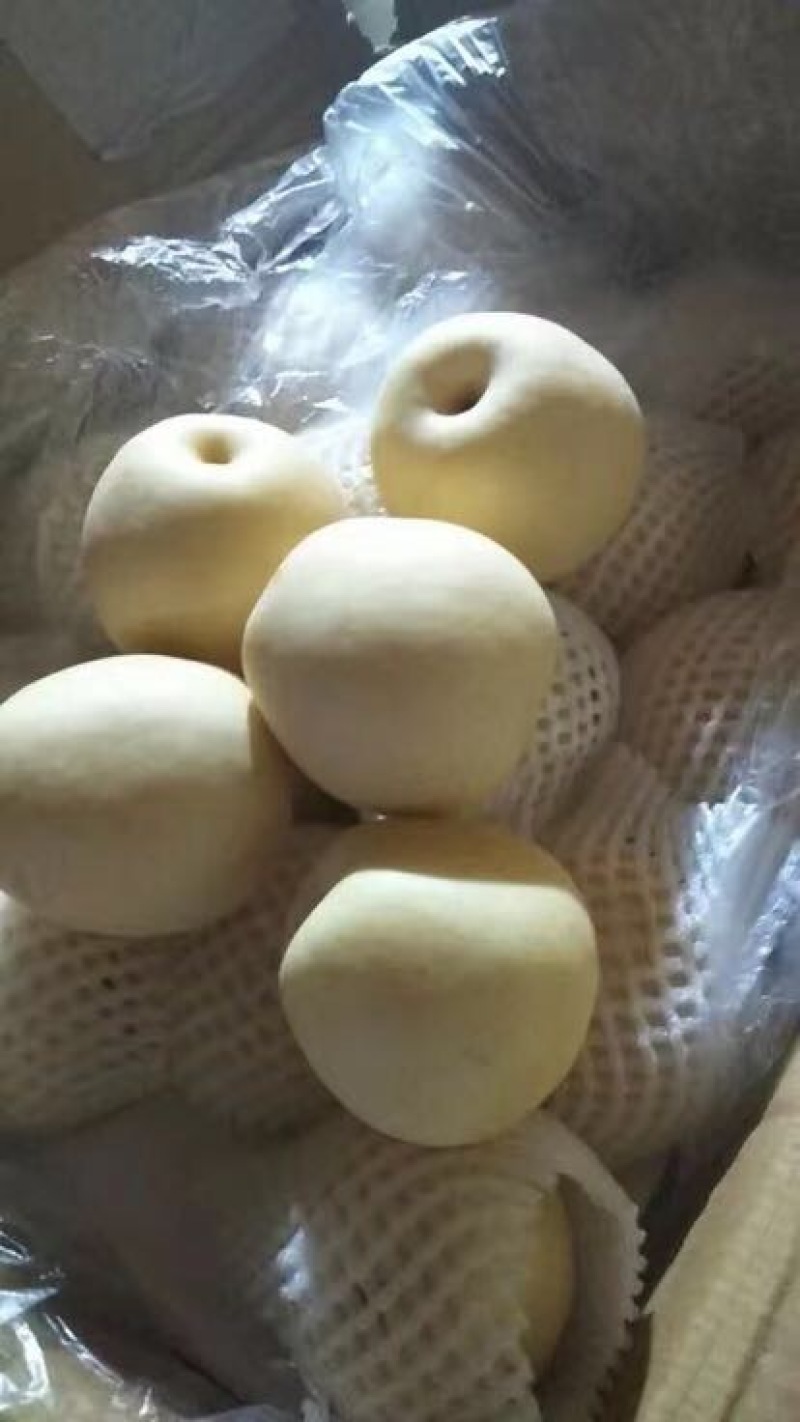 黄金梨