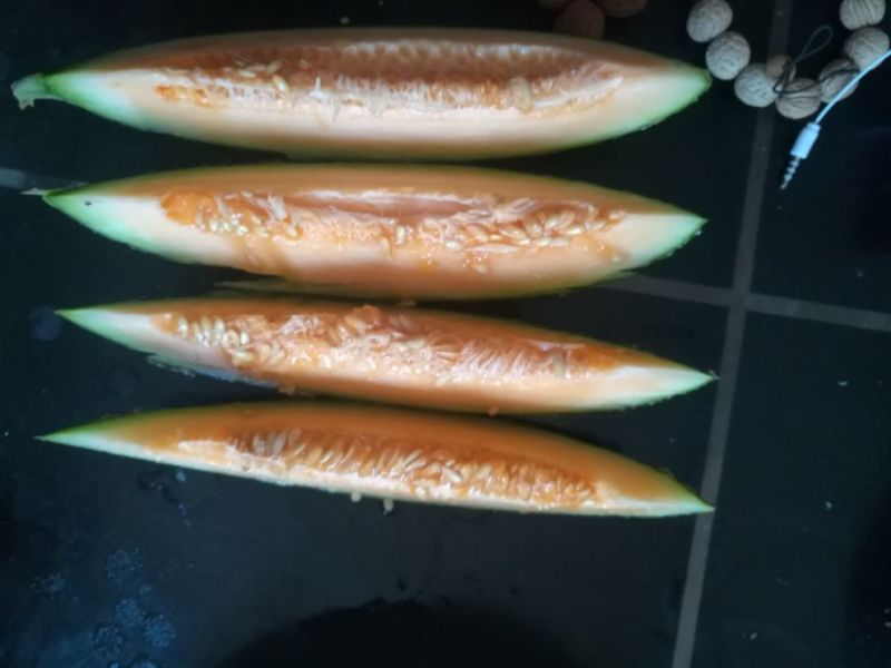 西州蜜瓜5斤以上椭圆形