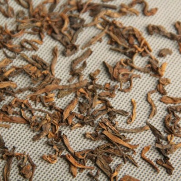 普洱茶2012金芽散装熟茶