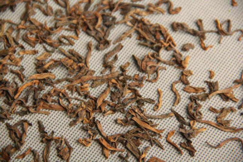 普洱茶2012金芽散装熟茶