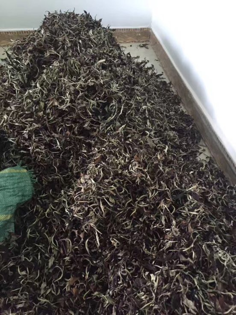 古树普洱茶特级
