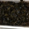 阳利农的一亩田店铺