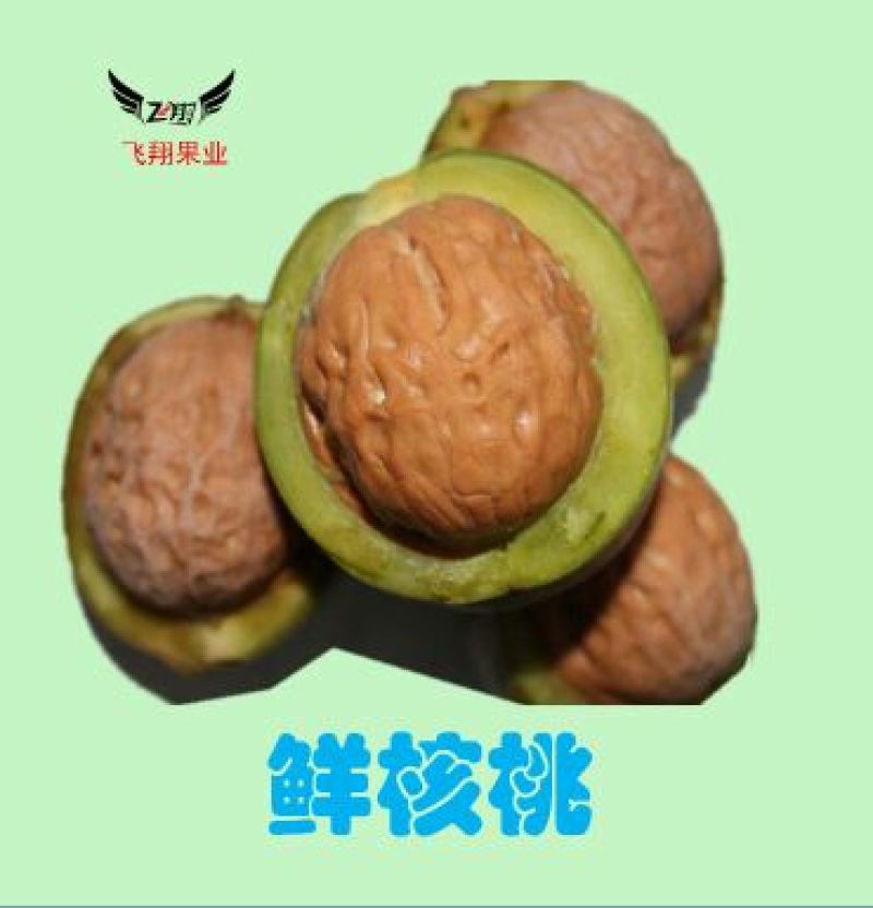 薄皮核桃30mm以上青皮湿