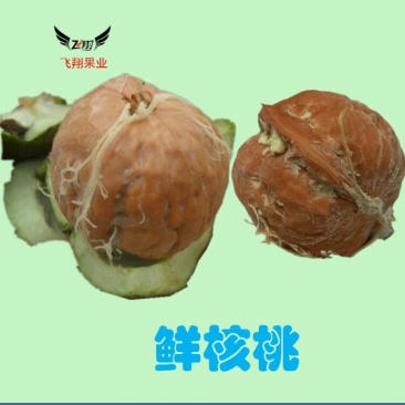 薄皮核桃30mm以上青皮湿