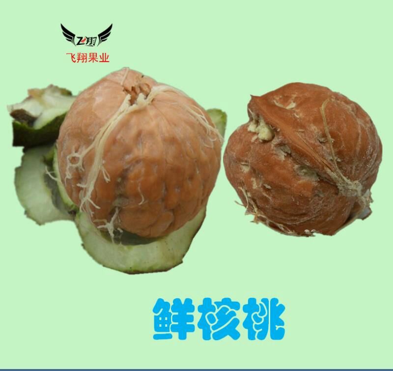 薄皮核桃30mm以上青皮湿