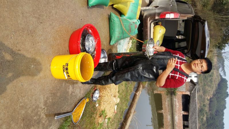 建鲤鱼苗人工养殖