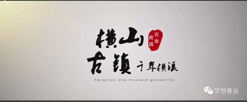 野生甲鱼1.5~2斤