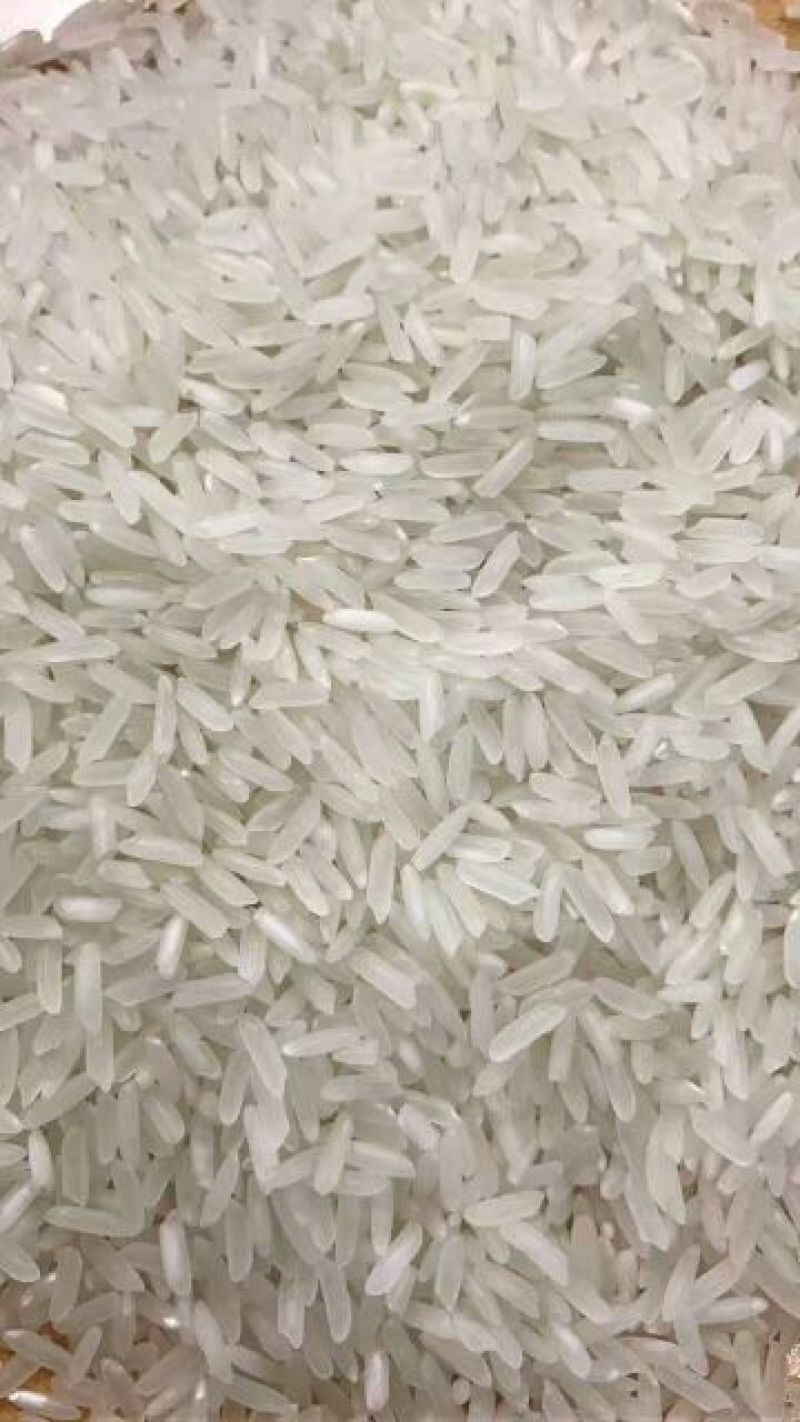 香米越南茉莉香米5451