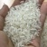 香米越南茉莉香米5451