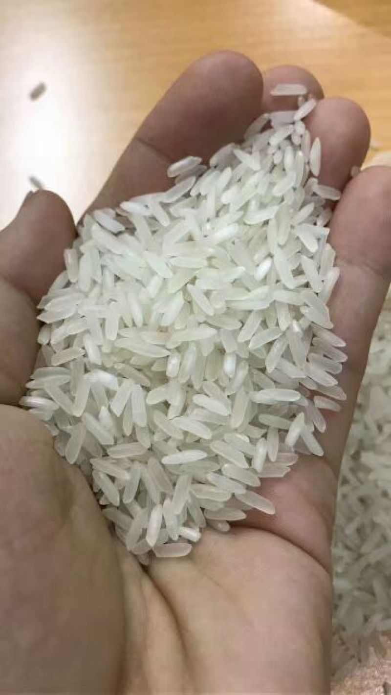 香米越南茉莉香米5451