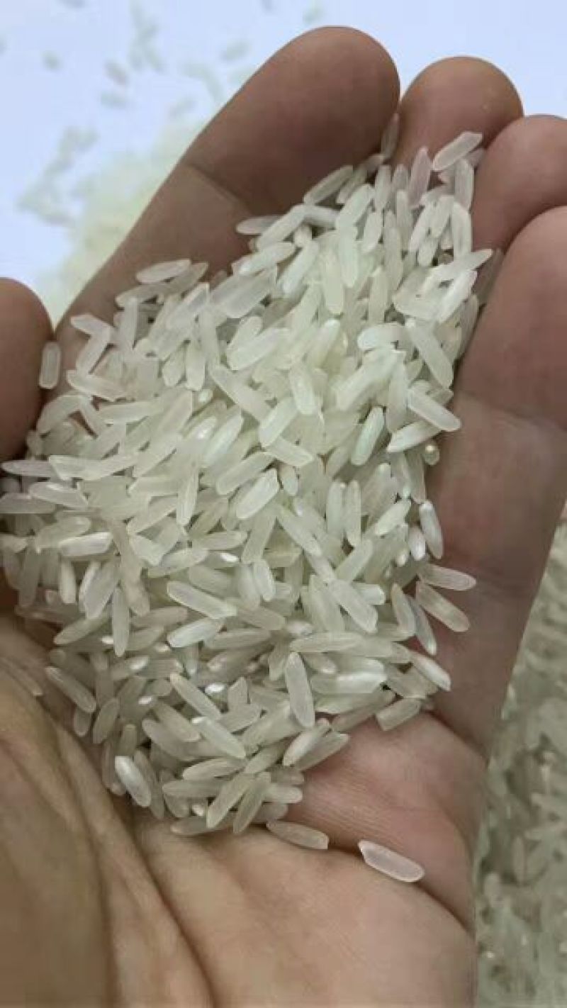 香米越南茉莉香米5451