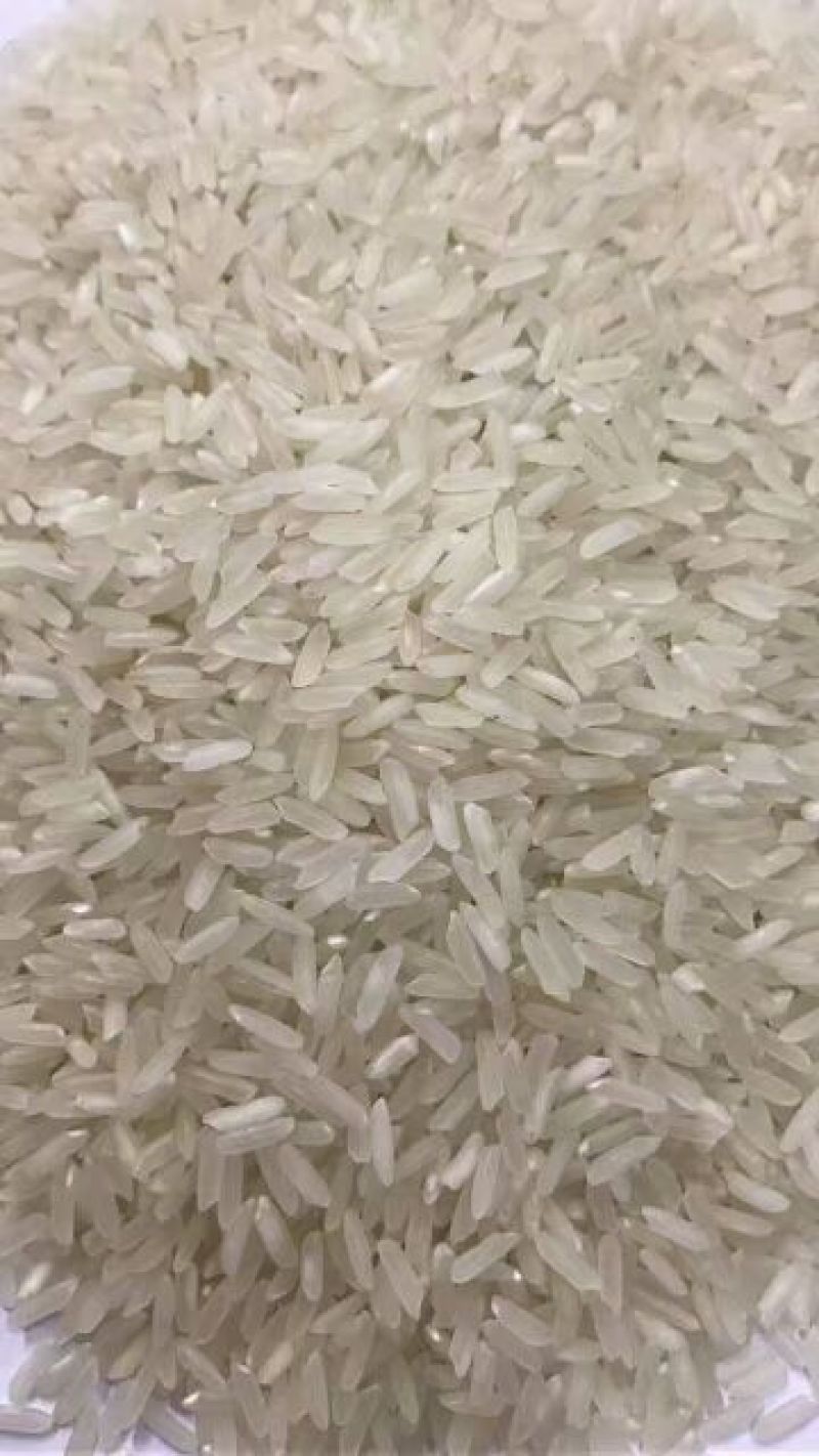 香米越南茉莉香米5451